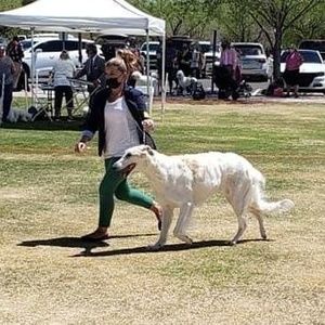 Meet your Posher, Carly